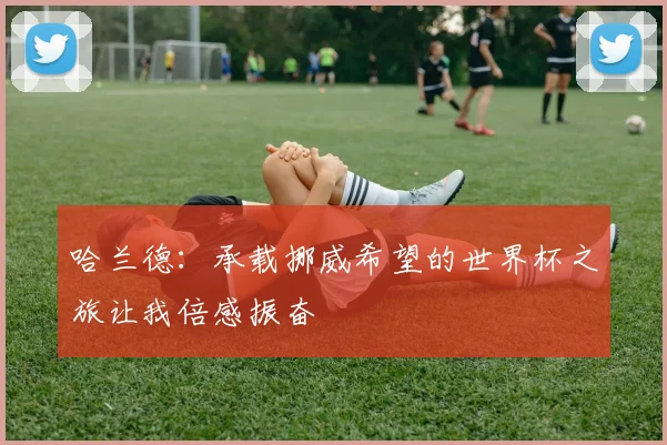 哈兰德：承载挪威希望的世界杯之旅让我倍感振奋