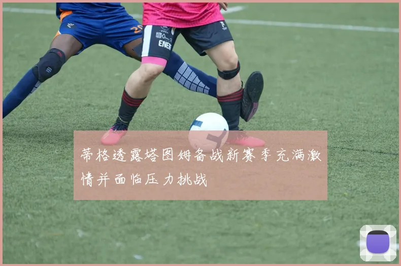蒂格透露塔图姆备战新赛季充满激情并面临压力挑战
