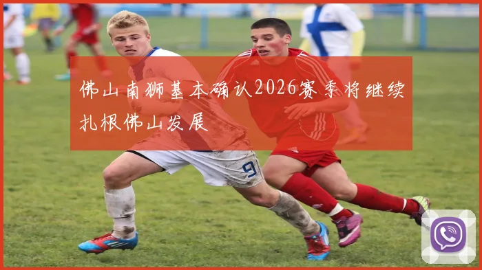 佛山南狮基本确认2026赛季将继续扎根佛山发展